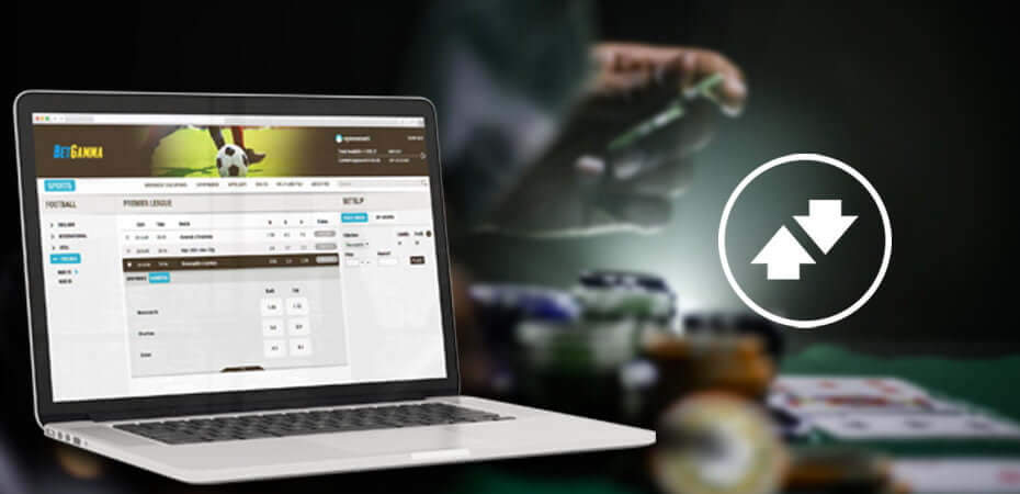 Take 10 Minutes to Get Started With Cockfight Betting App