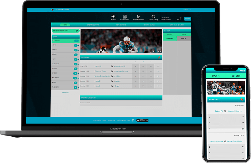 Sportsbook Software