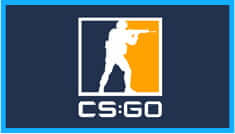 Counter-Strike : GO