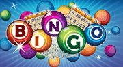 Bingo Online Lottery Game