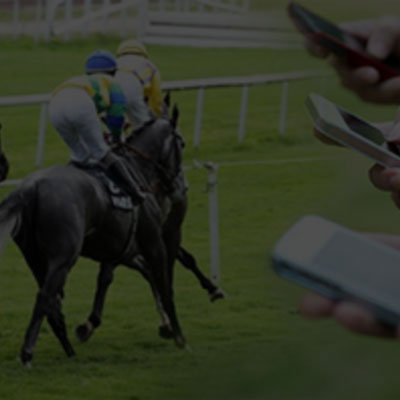 Horse Racing Betting Software