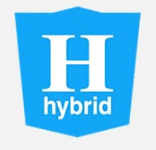 Hybrid App Development Gammastak