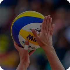 Volleyball Betting Software