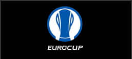 Euro Cup Fantasy Sports Software