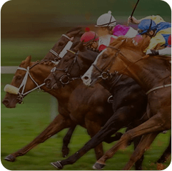 Horse Racing Betting Software