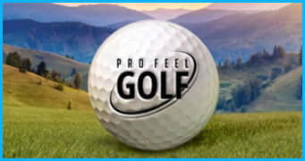 Pro Feel Golf Game Development