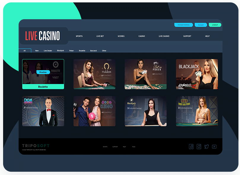 Online Casino Software Providers