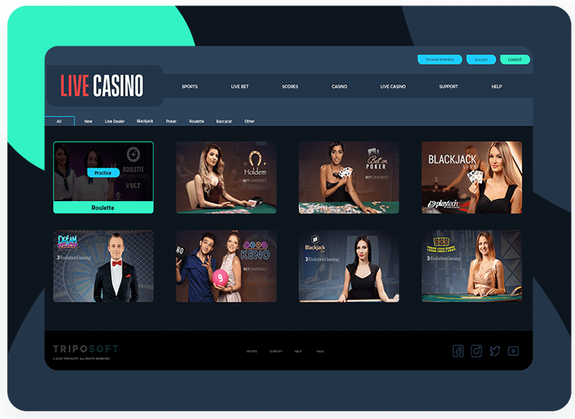 Online Casino Software Providers