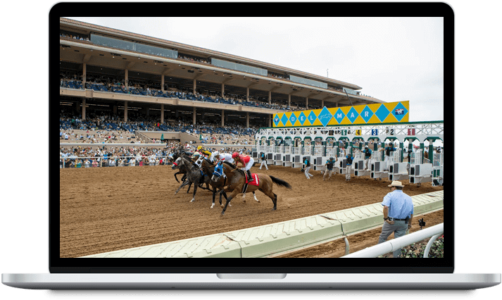 Horse Racing Software