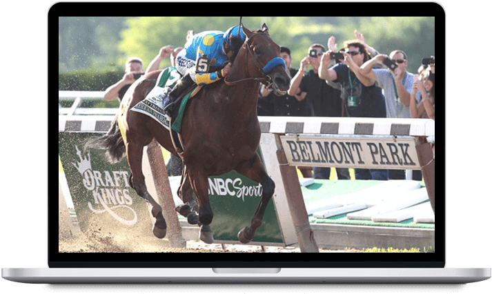 free horse racing algorithm software