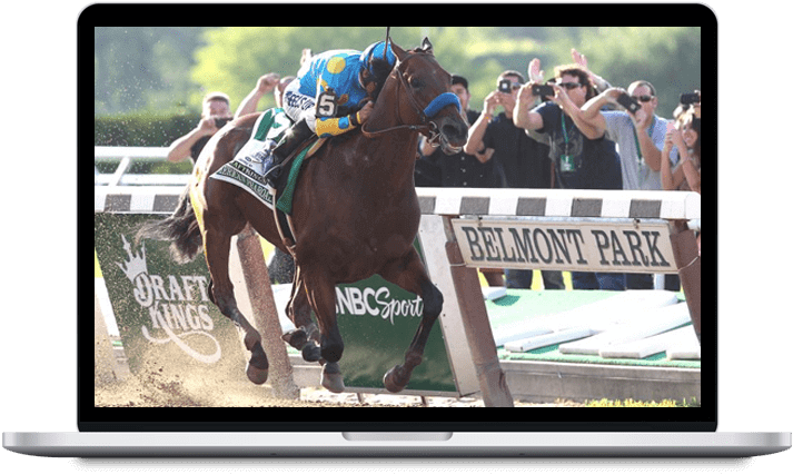 Horse Racing Software