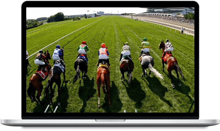 Horse Racing Software