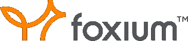 Foxium Slot Game Software
