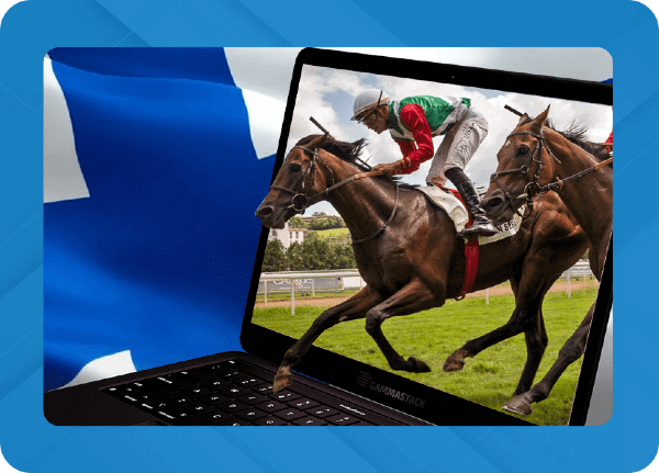 Horse Racing Software