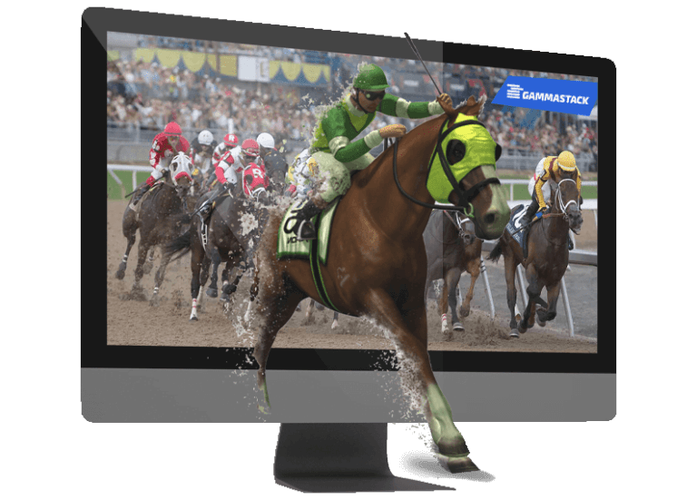 horse handicapping software developer horse handicapping software developer