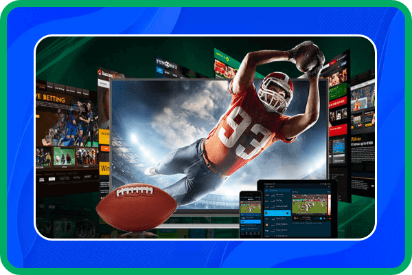 Sportsbook Software