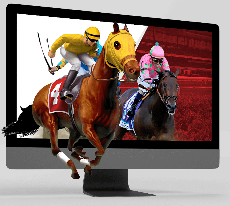 Horse Racing Software