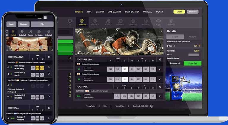 No risk betting software for sale No risk betting software for sale investing in govt bonds in india