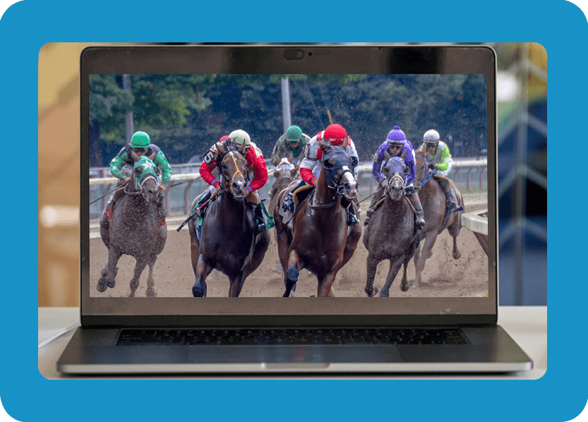 horse handicapping software developer horse handicapping software developer