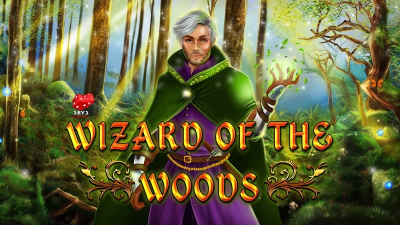 Wizard Of The Woods