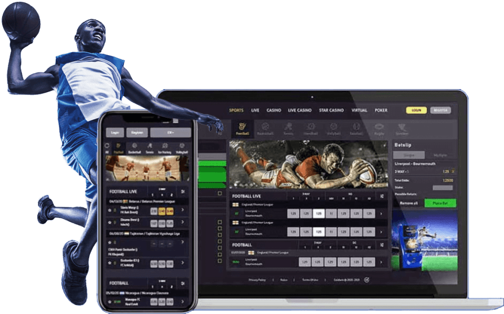 Sportsbook Software