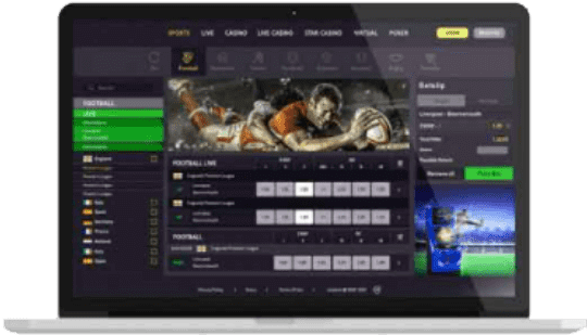Sportsbook Software