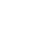 Integration of Custom Features