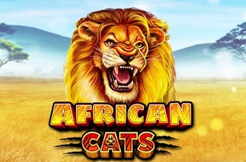 African Cats