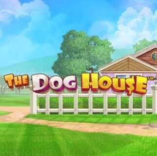 The Dog House