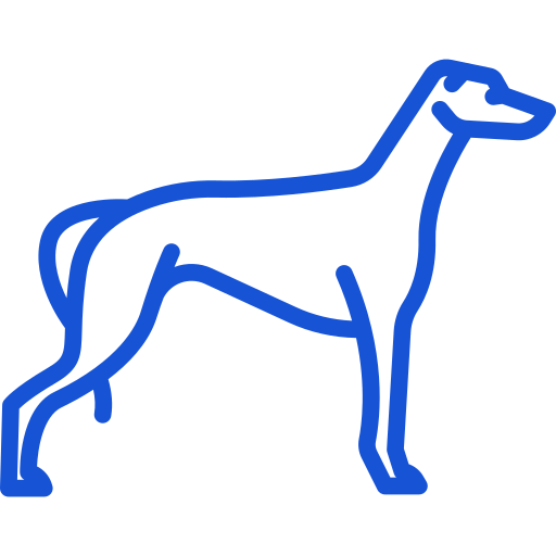 Standard Greyhound Distances