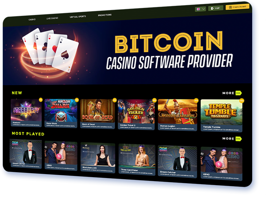 Bitcoin Casino Software Provider