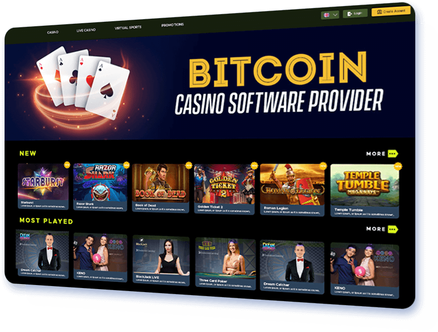 Bitcoin Casino Software Provider