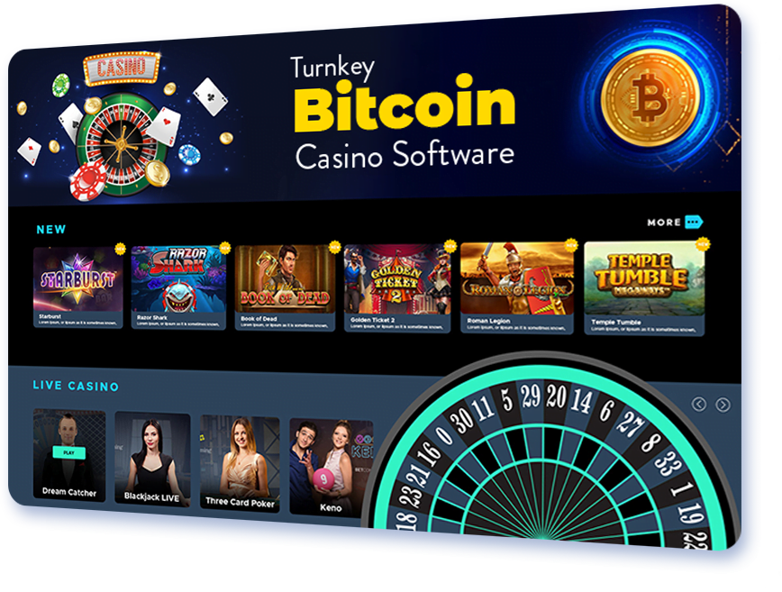 Turnkey Bitcoin Casino Software
