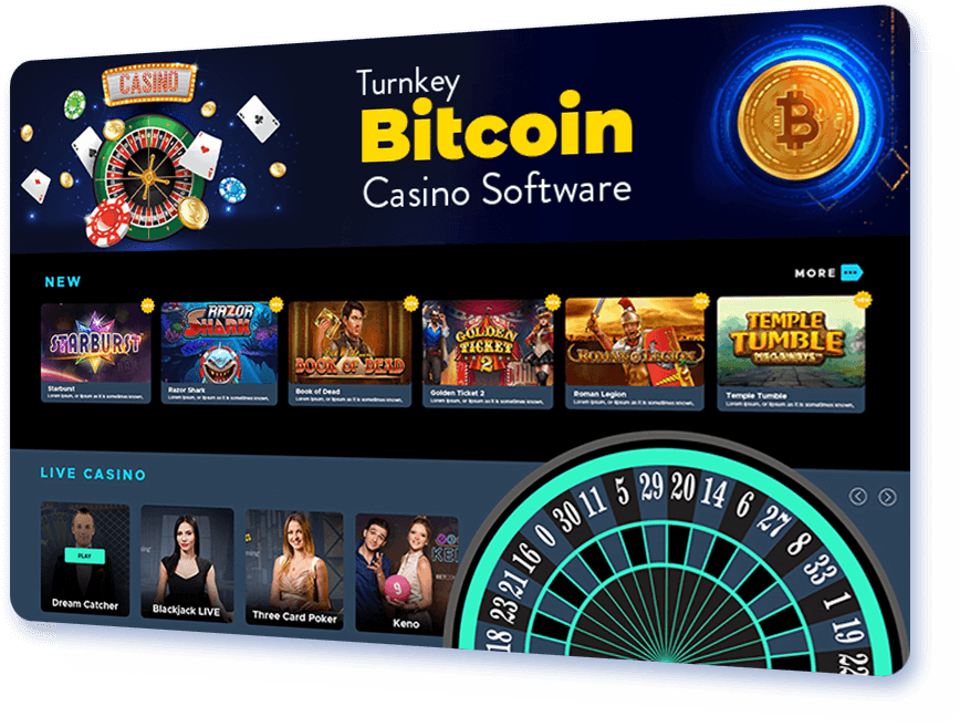 The Future Landscape of bitcoin casino sites