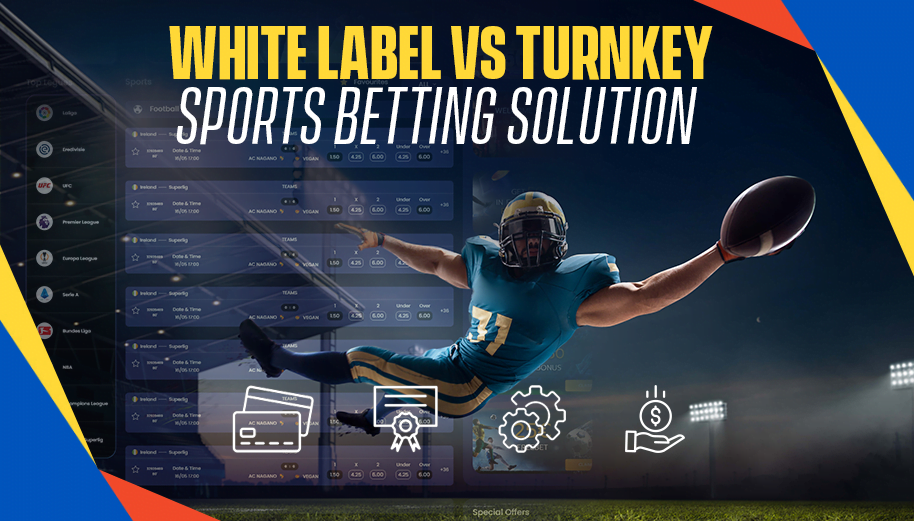 White Label Vs Turnkey Sports Betting Solution: An Ultimate Guide