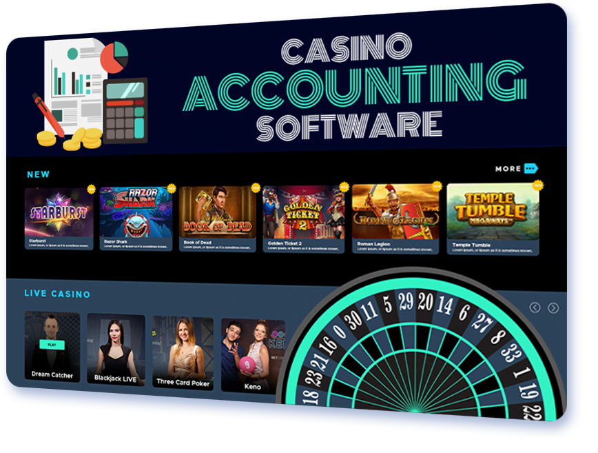 Casino Accounting Software