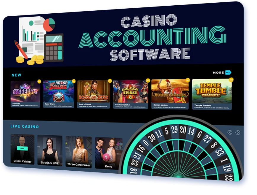 Casino Accounting Software