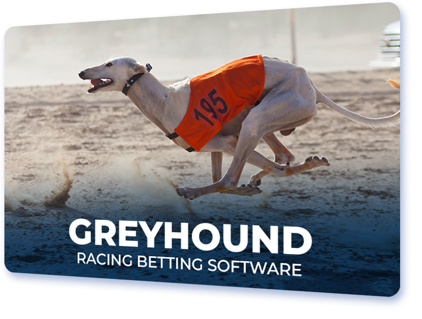 Greyhound racing betting software