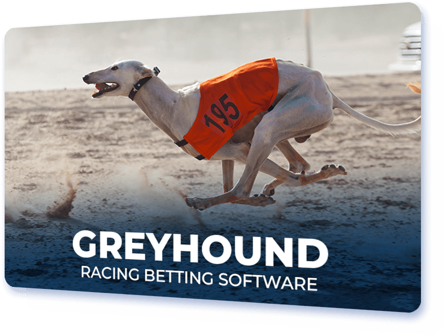 Greyhound racing betting software