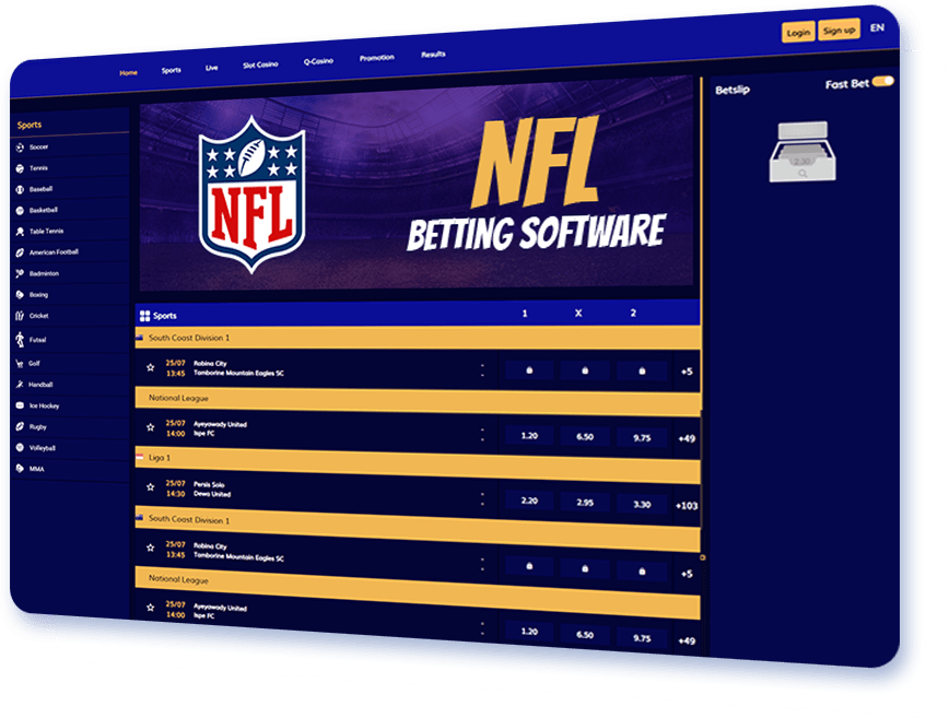 NFL betting software