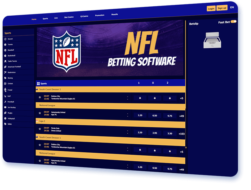 NFL betting software