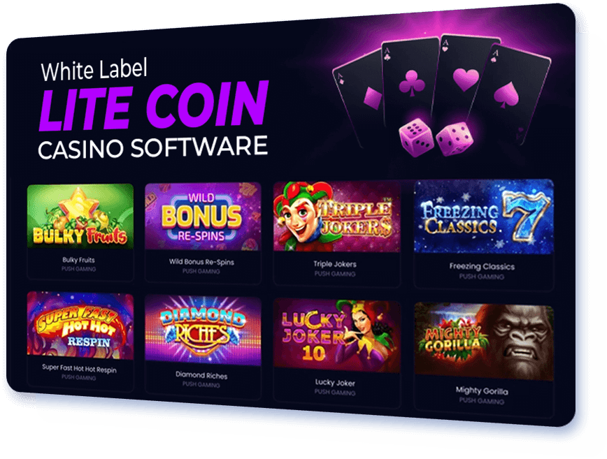 White Label Lite Coin Casino Software