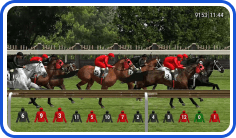 Virtual horse racing software