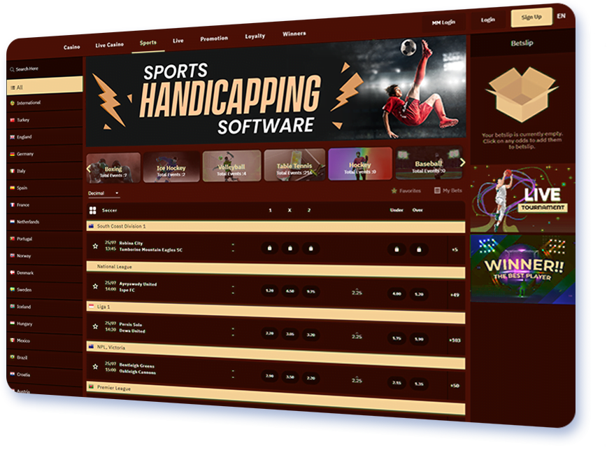 sports handicapping software