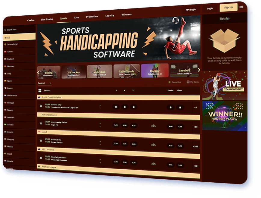 sports handicapping software