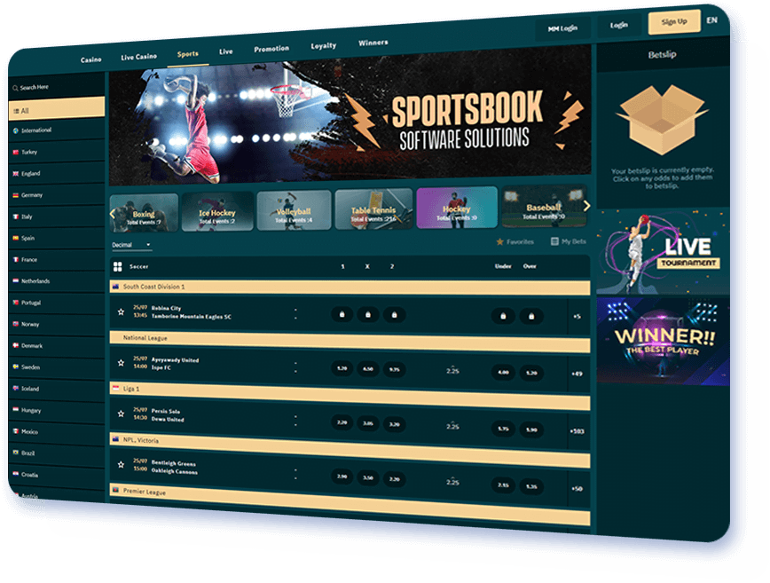 Sportsbook Software Solutions