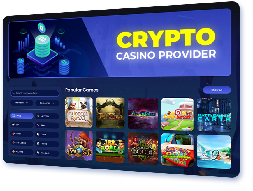 Crypto Casino Provider