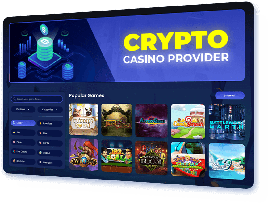 Crypto Casino Provider