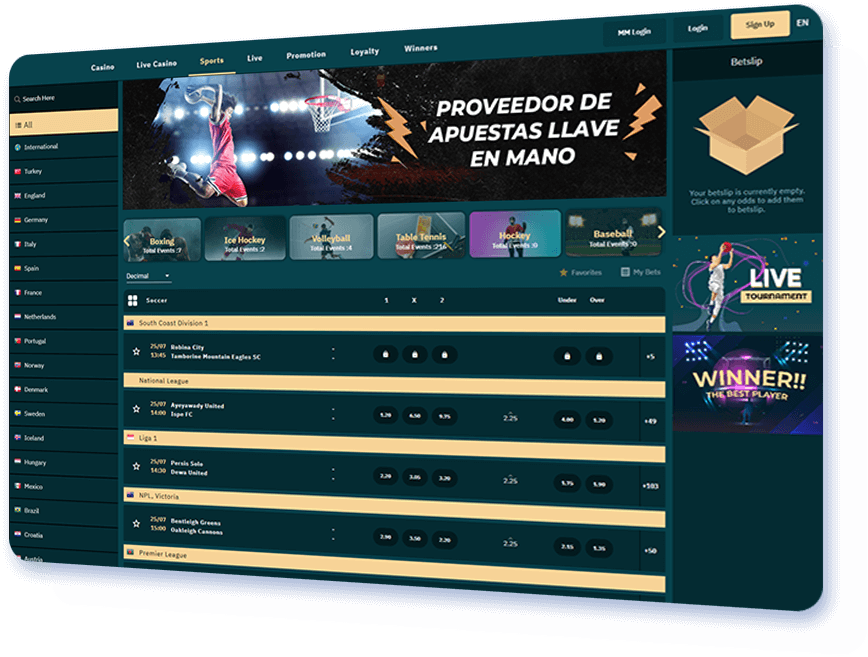 Proveedor de apuestas llave en mano