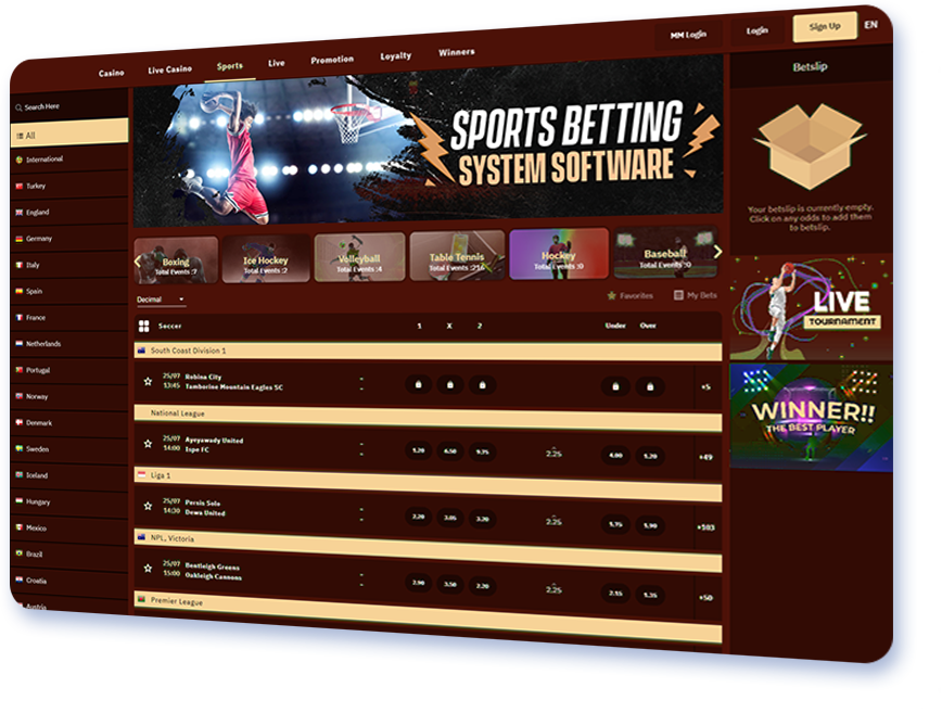 Sports Betting System Software